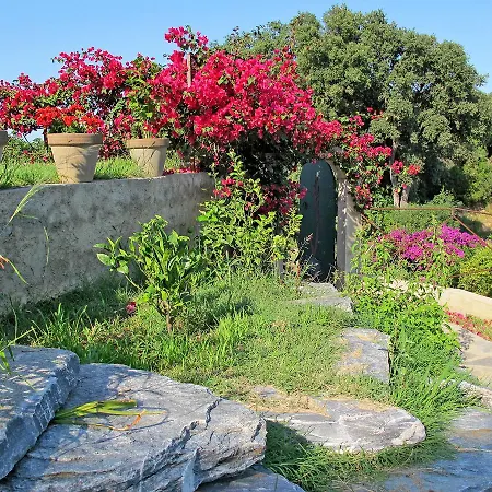 Maison Augier 500s Cervione
