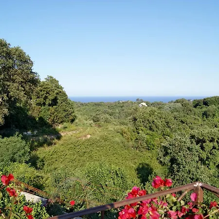 Maison Augier 500s Cervione